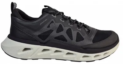 Produktbild von Ecco ECCO BIOM 720 Men Sneaker low Schwarz in Gr. 40