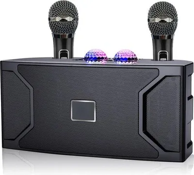 Obrázek produktu pro Bezdrátová karaoke sada pro dospělé se 2 mikrofony