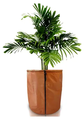 Produktbild von Thermo Topfschutz für Pflanzen - Winterschutz für Kübelpflanzen, 50 x 45 cm