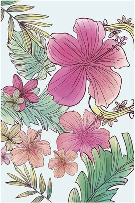 Immagine prodotto di Komar Poster Fiori rosa e verdi - 610091 - 50 x 70 cm