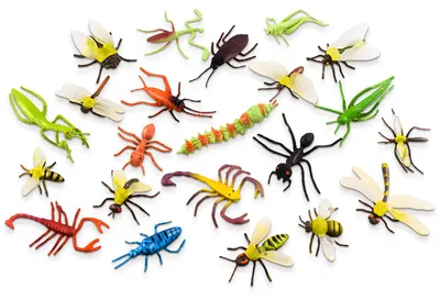 Produktbild von 22-teiliges Insektenmodell