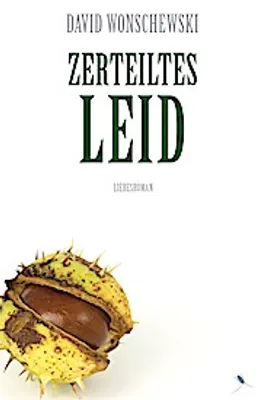 Produktbild von Zerteiltes Leid