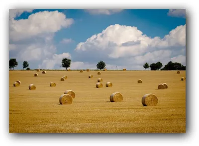 Produktbild von XXL Poster 100 x 70cm (SF203) last days of summer, Wiese mit Heuballen, Herbst (Lieferung gerollt!)