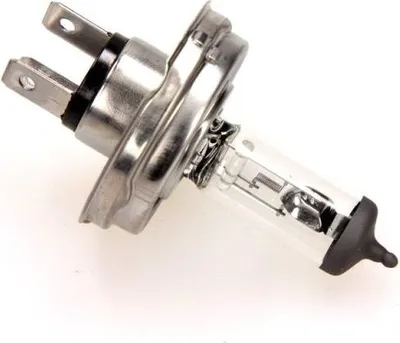 Immagine prodotto di Lampadina h4 12v/60/55w p45t rally solo fuoristrada