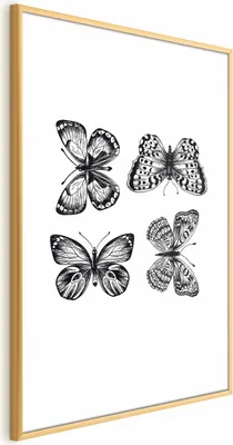Obrázek produktu pro Plakát Čtyři motýli 29,7x42 cm se zlatým rámem bez rámečku