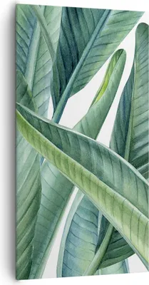 Produktbild von Bild auf Leinwand - Leinwandbild - Einteilig - Exotisch Blätter Grün - 65x120cm - Wand Bild - Wanddeko - Wandbilder - Leinwanddruck - Bilder - Wanddekoration - Leinwand bilder - PA65x120-4258