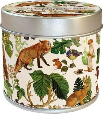 Imagen del producto de Vela aromática en lata, colección "Animales del Bosque"