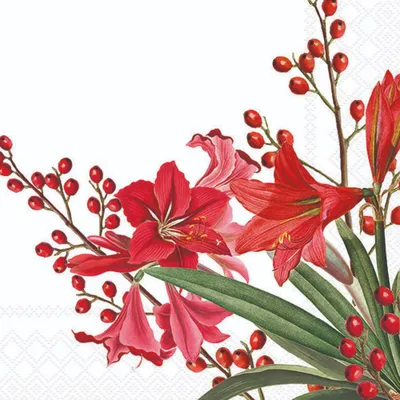 Produktbild von Servietten 33x33 cm - Christmas bouquet white