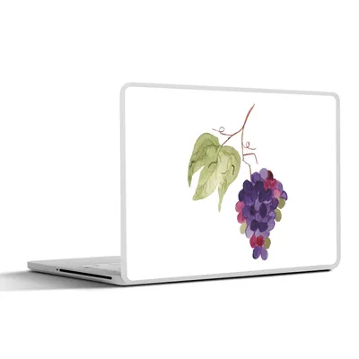 Produktbild von MuchoWow® Laptop Aufkleber Sticker Cover Weintrauben - Blätter - Aquarell 40x30 cm - Laptop Dekoration - Selbstklebend
