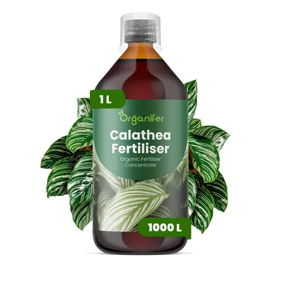 Obrázok produktu pre Calathea, tekuté hnojivo, 1 L – vzťah živín NPK: 2-1-8 – pre izbové rastliny – pre zdravé listy a bohatú vegetáciu – podporuje rast koreňov a vitalitu – organické