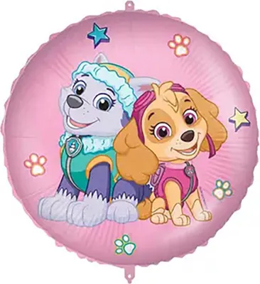 Produktbild von 18"/Ø45cm Folienballon "Paw Patrol Skye & Everest"