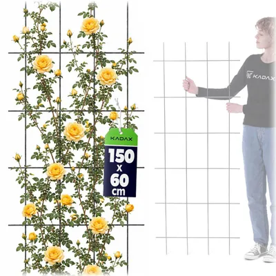 Zdjęcie produktu dla KADAX Pergola Ogrodowa metalowa Podpora Do Roślin Róż Kwiatów Kratka 60x150cm