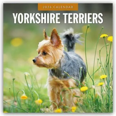 Obrázok produktu pre Yorkshire Terriers - Yorkshire Terrier 2026 - 16-mesačný kalendár