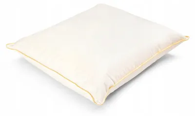 Obrázok produktu pre Wilpol bis Páperový vankúš 70x80 cm 1,5 kg husacie páperie béžová