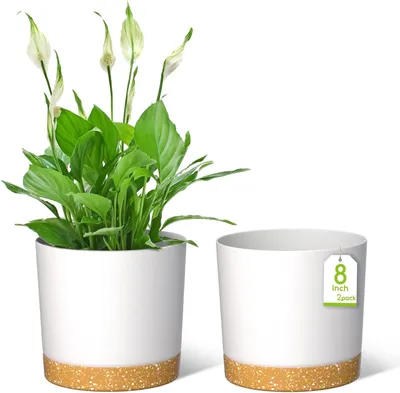 Image de Jardinières - Lot de 2 - Pots de fleurs modernes - avec trous de drainage - Blanc - 20x20x19 cm