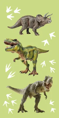 Produktbild von Dinosaurier Tyrannosarurus Duschtuch Badetuch Handtuch Strandtuch  70 x 140cm
