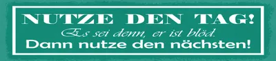 Produktbild von vianmo Holzschild 10x46 cm Nutze den Tag . Es sei denn, er ist blöd