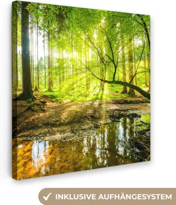 Produktbild von MuchoWow® - Leinwandbilder - Wald - Landschaft - Wasser - Bäume - Sonne - Grün - Natur, Wandbild, Wanddeko Bilder Wohnzimmer, 50x50cm