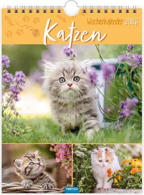 Produktbild von Trötsch Wochenkalender zum Hängen Katzen 2026