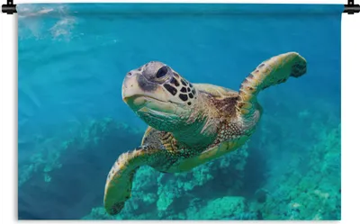 Produktbild von MuchoWow® Wandteppich Wandbehang Meeresschildkrötenschwimmen auf Hawaii 150x100 cm Tapisserie Dekoration Wandtuch - Waschbar - Tapisserien - Wand-Decke