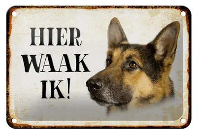 Produktbild von Blechschild Spruch 18x12cm holländisch Hier Waak ik Schäferhund Dekoration