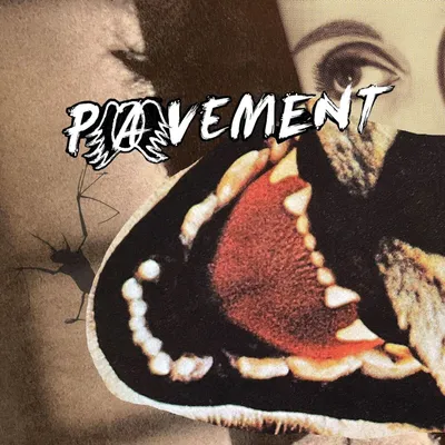 Image de Pavement : Hecklers Choice : Big Gums And Heavy Lifters - A Pavement Collection