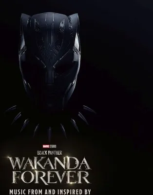 Immagine prodotto di Black Panther: Wakanda per sempre