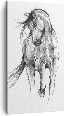 Produktbild von Bild auf Leinwand - Leinwandbild - Einteilig - Pferd Galopp Tier - 45x80cm - Wand Bild - Wanddeko - Wandbilder - Leinwanddruck - Bilder - Wanddekoration - Leinwand bilder - Wandbild - PA45x80-5080