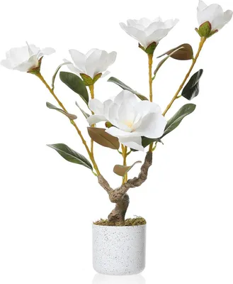 Produktbild von Künstlicher Magnolienbaum - Bonsai-Topfpflanze - 60 cm - Realistische Blüten - Bodenstehend - Für den Außenbereich - PE-Kunststoff - Dunkelrosa