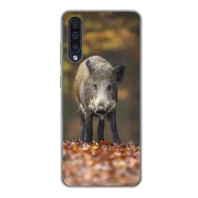 Produktbild von MuchoWow® Handyhülle Schutzhülle Hülle für Samsung Galaxy A50 Wildtier - Wald - Herbst Silikon Softcase Handy Hülle - Mobiltelefonhülle