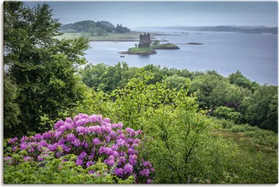 Produktbild von ARTland Leinwandbild Castle Stalker Loch Linnhe, Schottland Größe: 30x20 cm