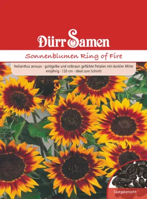 Artikelbild 1 von 'Sonnenblume Ring of Fire' aus der Kategorie Sonnenblumensamen