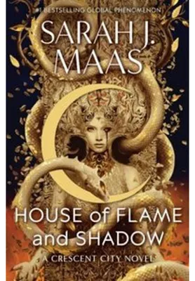 Immagine prodotto di House of Flame and Shadow