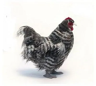 Produktbild von Hansa Plüschtier Graue Henne 30 cm