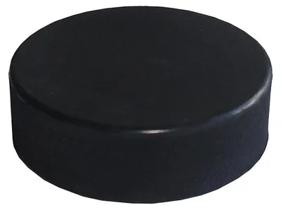 Image de Puck de hockey pour jeunes, dimensions 6 x 2 cm