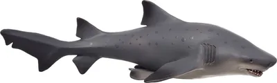 Immagine prodotto di Mojo 387355 Squalo toro Animal Planet, grande circa 17 x 9 x 5,5 cm