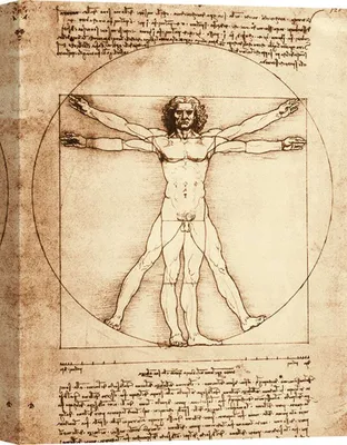 Immagine prodotto di Stampa su tela - Leonardo da Vinci, L'uomo vitruviano - 60x40 cm