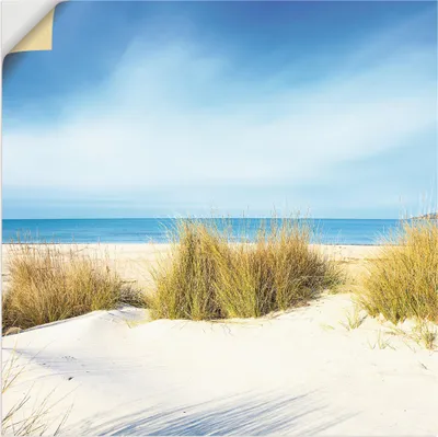 Produktbild von ARTland Wandbild, selbstklebend Gras auf Sanddünen Größe: 70x70 cm