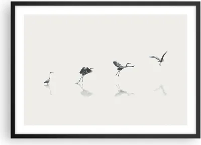 Produktbild von Gerahmtes Poster - Schwarzer Rahmen - Flug Vogel Reiher - 70x50 cm - Wand Bild - Wanddeko - Wandbilder - Kunstposter - Wandposter - Bilderrahmen - Bilder - Kunstdruck - P2BAA70x50-5096