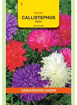 Imagen del producto de Semillas de la variedad Callistephus chinensis "Straussenfeder" (mezcla de colores naranja) - 1 paquete