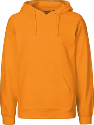 Image de Sweat à capuche neutre pour hommes