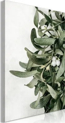 Produktbild von Vliesstoff Leinwandbild - Christmas Mistletoe (1 Part) Vertical 80x120 cm Blätter b-B-0663-b-a