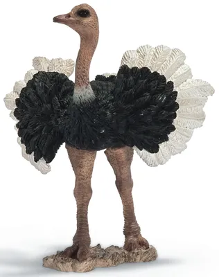 Produktbild von Schleich 14610 Straußenmännchen