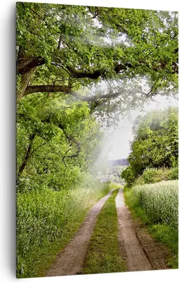 Produktbild von Bild auf Leinwand - Leinwandbild - Einteilig - Pfad Natur Wald Grün - 80x120cm - Wand Bild - Wanddeko - Wandbilder - Leinwanddruck - Wanddekoration - Leinwand bilder - Wandbild - PA80x120-2637