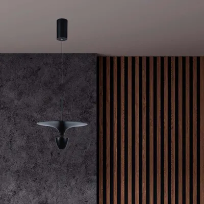 Immagine prodotto di Plafoniere di design - Lampade a sospensione di design - IP20 - Alloggiamento nero - 9 Watt - 1000 Lumen - 3000K