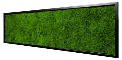 Produktbild von Moosbild Flat Design (140x40, schwarz)