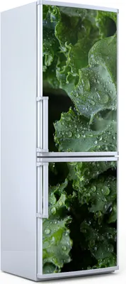 Produktbild von Magnete Dekorative - 70 cm x 190 cm - Küche - Magnetmatte Kühlschrankmagnete - Salat Blätter