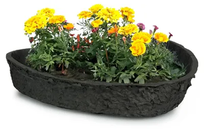 Image de Cœur à planter pour l'extérieur, biodégradable, jardinière 36 cm