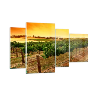 Produktbild von Bilder auf glas - Landschaft Weinberg Sonnenuntergang - 120x70cm - Glasbilder - Wandbilder - Kunstdruck - Wanddekoration aus Glas - Glas Bilder - Wandbild auf Glas - GDL120x70-0116