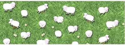 Produktbild von Transparentpapier 115g/qm A4 VE=25 Blatt Frühlingserwachen Schäfchen